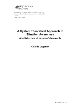 A System Theoretical Approach to Situation Awareness