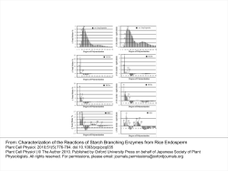 Characterization of the Reactions of Starch Branching Enzymes from