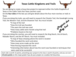 Cattle Kingdoms tissue box project