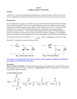 Microsoft Word - Lab
