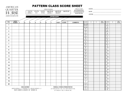Pattern Class Score Sheet