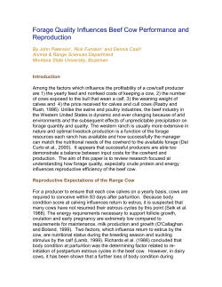How forage quality influences beef cow performance and reproduction