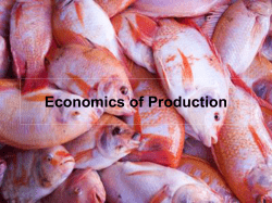 Lecture 3: Production/Cost Curves