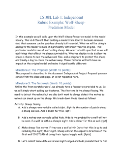 CS108L Lab 11: Independent Rubric Example: Wolf