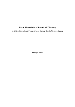 Farm household allocative efficiency - Wageningen UR E