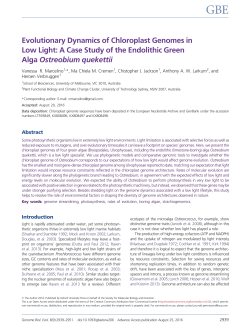 Evolutionary dynamics of chloroplast genomes in low light: a case