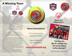 A Winning Team - Moose International