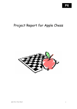 Project Report for Apple Chess