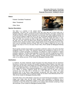 Common Name (Scientific name)