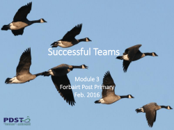 Teams and Team Efficacy