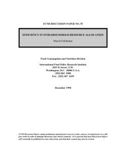 Efficiency in Intrahousehold Resource Allocation