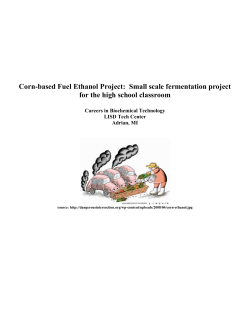 Corn Ethanol Lab