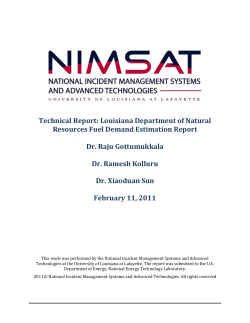 Louisiana Department of Natural Resources Fuel Demand
