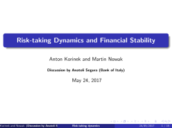 Risk-taking Dynamics and Financial Stability