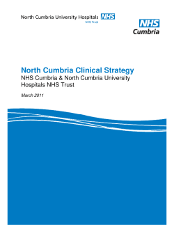 Clinical Strategy Report - Healthcare for the Future