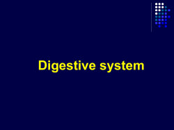 achalasia - pormiki jateng