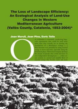 The Loss of Landscape Efficiency: An Ecological Analysis of Land