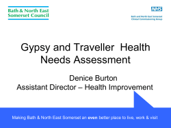 Gypsy traveller health needs presentation to IEAG by Denice Burton