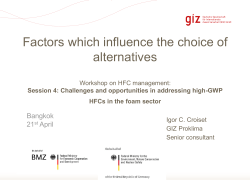 Session 4 - Mr. Igor Croiset - Factors which influence the choice of