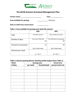 The 60:40 Autumn Grassland Management Plan