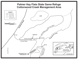 Palmer Hay Flats State Game Refuge Cottonwood Creek