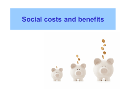 Social costs and benefits