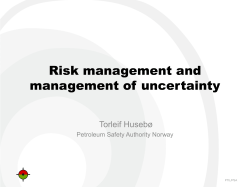 Risk management and management of uncertainty