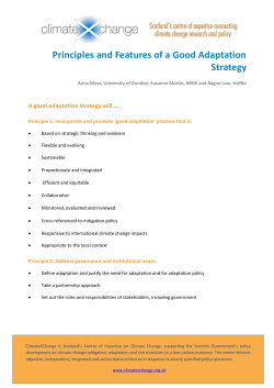 Principles and Features of a Good Adaptation Strategy