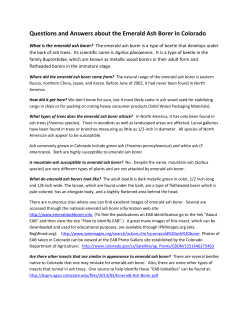 Questions and Answers about the Emerald Ash Borer in Colorado
