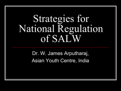Strategies for National Regulation of SALW