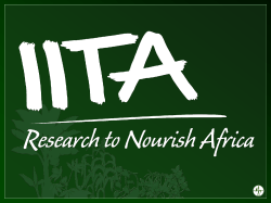 (imports) on domestic rice production and marketing