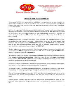 BUSINESS PLAN SURAKI COMPANY The company &ldquo;SURAKI