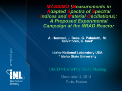 SG39-7c: &ldquo;Possible new experiments at NRAD&rdquo;, G. Palmiotti