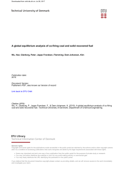 A global equilibrium analysis of co-firing coal and solid