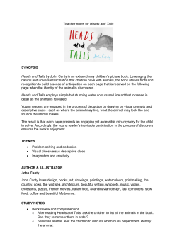 Teacher notes for Heads and Tails SYNOPSIS