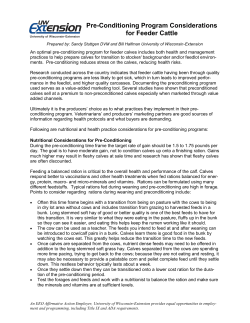 Pre-Conditioning Program Considerations for