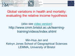Evaluating the Relative income hypothesis