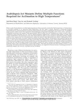 Arabidopsis hot Mutants Define Multiple Functions Required for