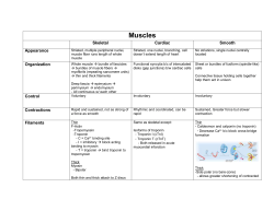 Muscles Skeletal Cardiac Smooth Appearance Striated, multiple