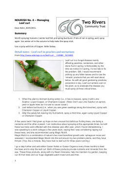 NOURISH No. 4 &ndash; Managing Leaf curl