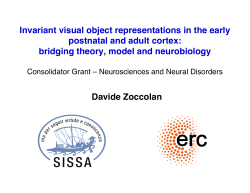 Invariant visual object representations in the early postnatal and