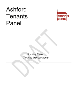 Scrutiny Report - Tenants Improvements