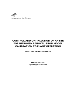 control and optimization of an sbr for nitrogen removal