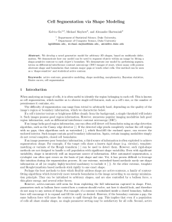 Cell Segmentation via Shape Modeling