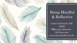 Reflective supervision for home visitors