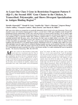 Rfp-Y - Stem-cell and Brain Research Institute