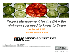 Project Management for the BA
