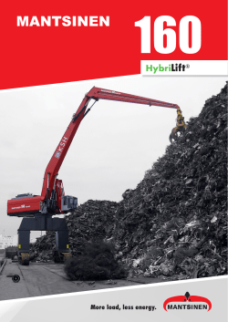 mantsinen - Peinemann