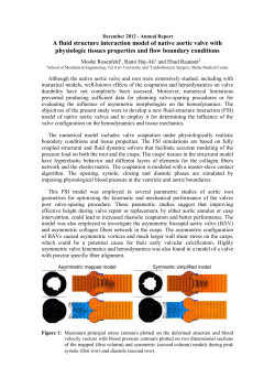 A fluid-structure interaction model of the native aortic valve with
