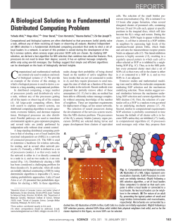 A biological solution to a fundamental distributed computing problem